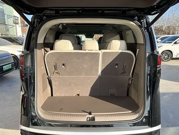 Фото 22 - Denza D9