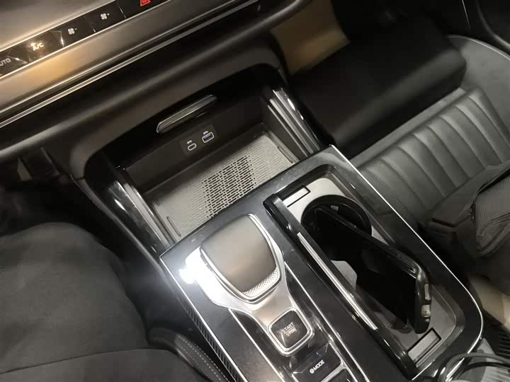 Фото 6 - Hongqi H9