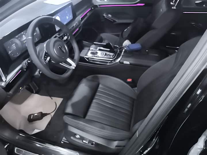 Фото 7 - Hongqi H9