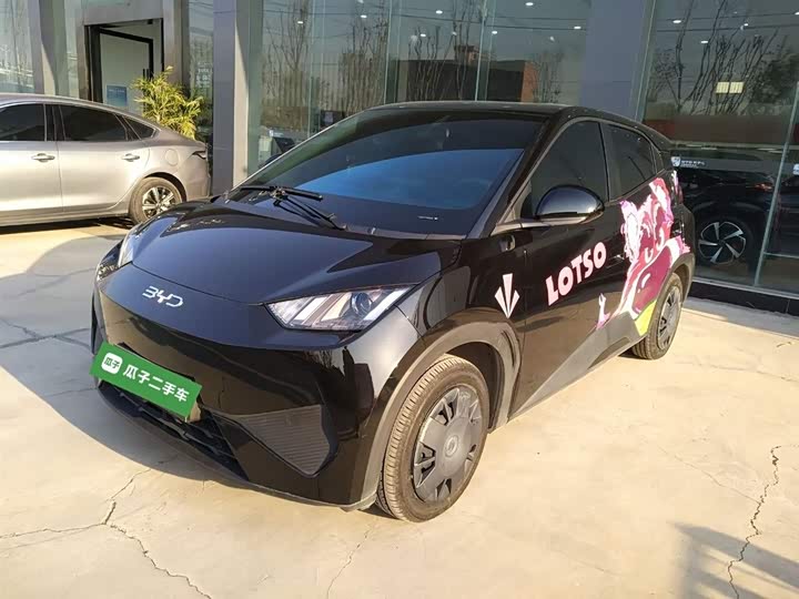 Фото 2 - BYD Seagull