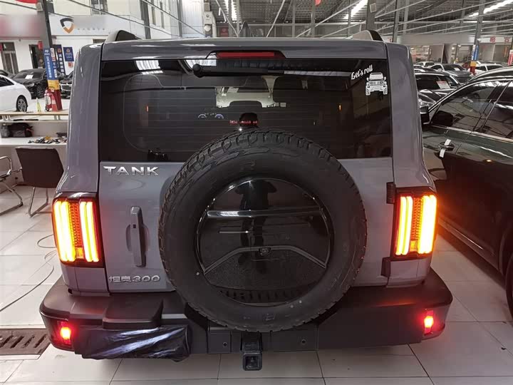 Фото 6 - Tank 300