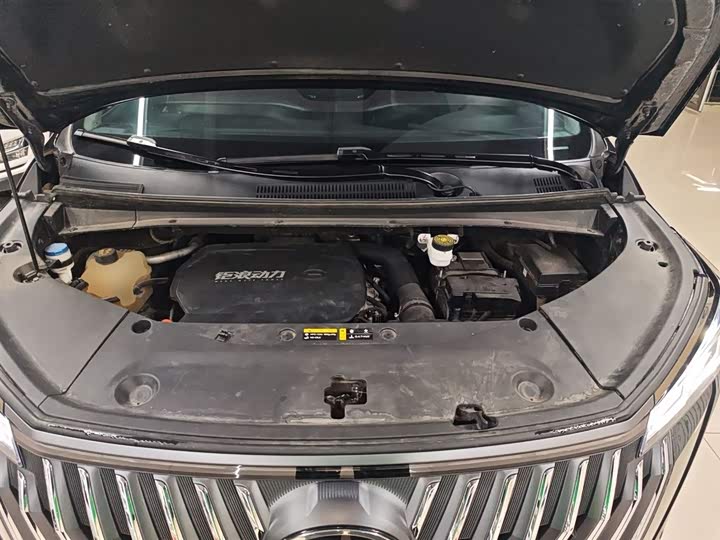 Фото 20 - GAC Trumpchi M8