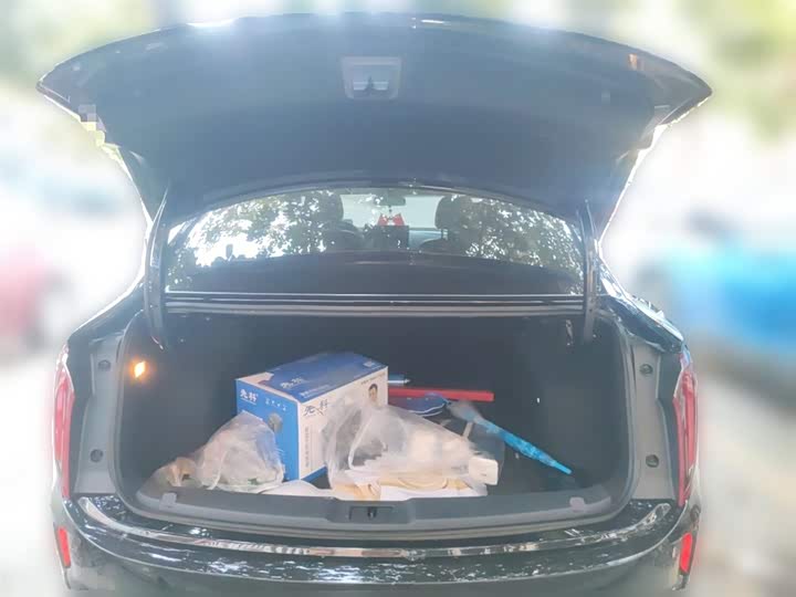 Фото 10 - Hongqi E-QM5