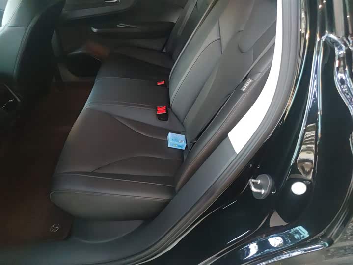 Фото 15 - Hongqi E-QM5