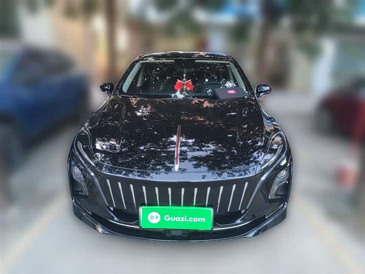 Фото 24 - Hongqi E-QM5