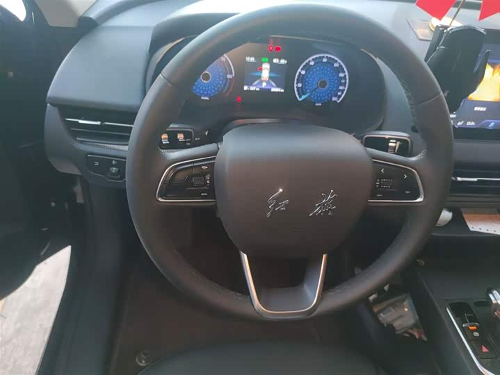 Фото 3 - Hongqi E-QM5