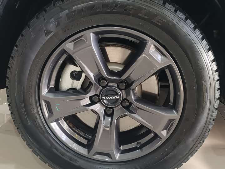 Фото 6 - Haval Raptor Hybrid