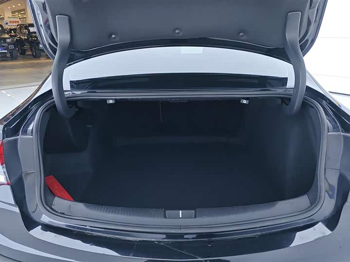 Фото 4 - Buick Regal