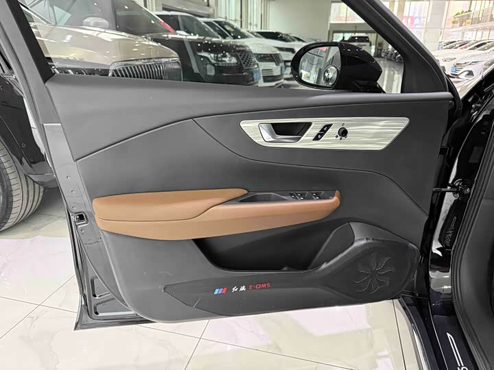 Фото 4 - Hongqi E-QM5