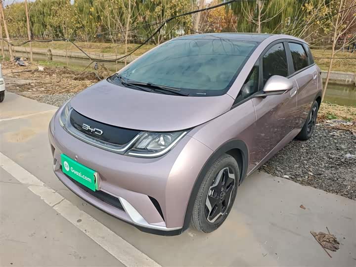 Фото 1 - BYD Dolphin