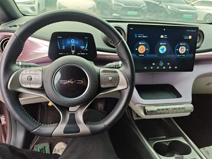 Фото 10 - BYD Dolphin