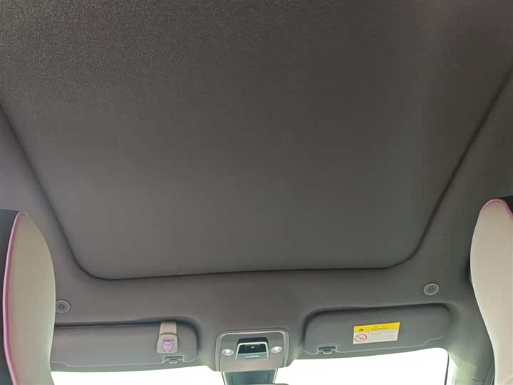 Фото 18 - BYD Dolphin