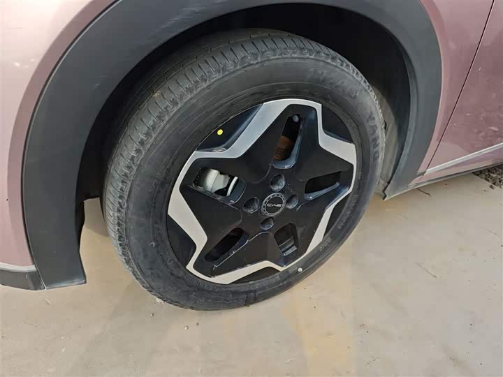 Фото 23 - BYD Dolphin