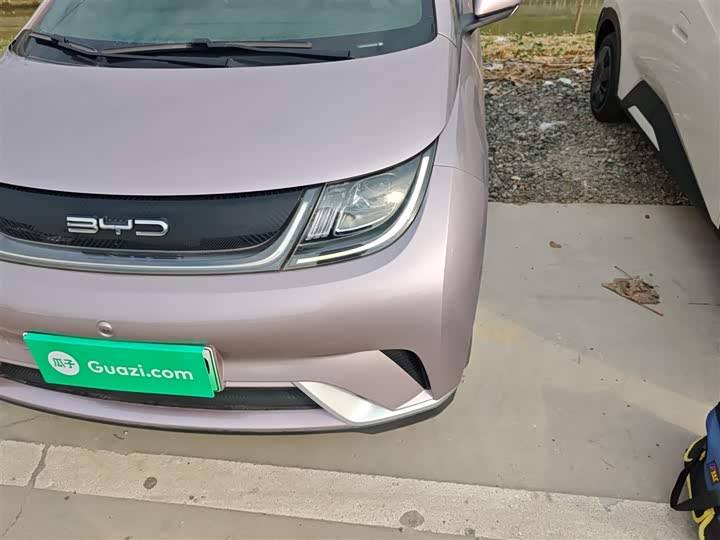 Фото 24 - BYD Dolphin