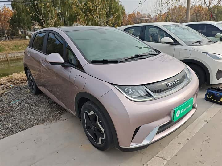 Фото 4 - BYD Dolphin