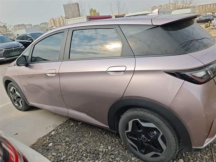 Фото 5 - BYD Dolphin