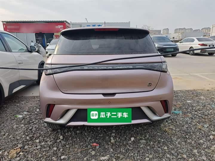 Фото 6 - BYD Dolphin