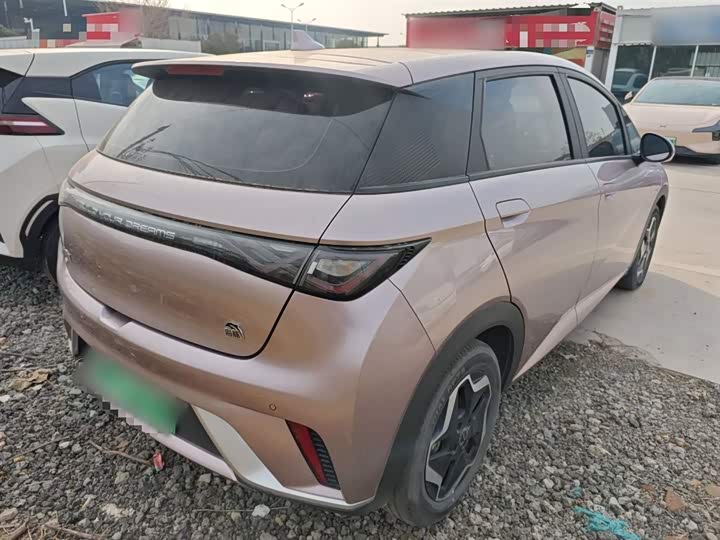 Фото 7 - BYD Dolphin