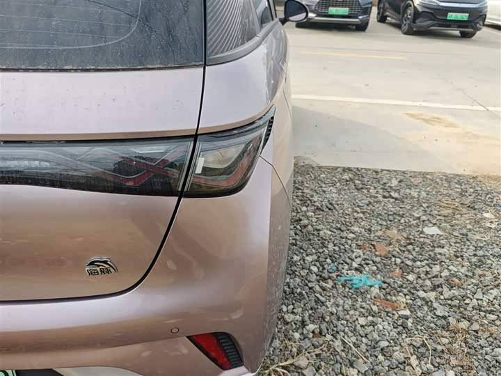 Фото 8 - BYD Dolphin