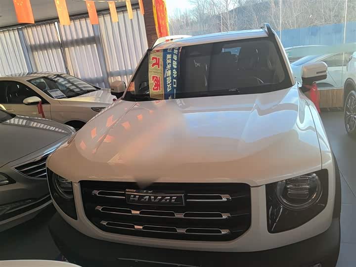 Фото 3 - Haval Dargo