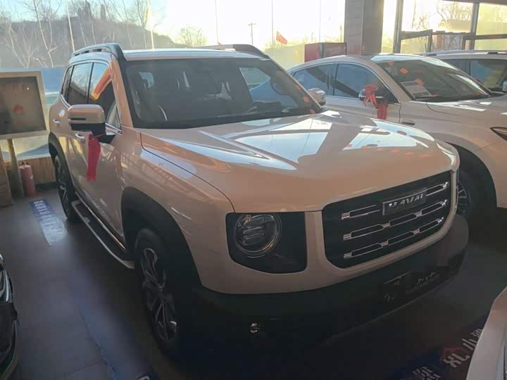 Фото 4 - Haval Dargo