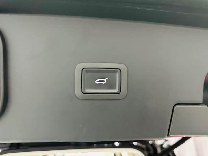 Фото 36 - Hongqi HQ9 Hybrid