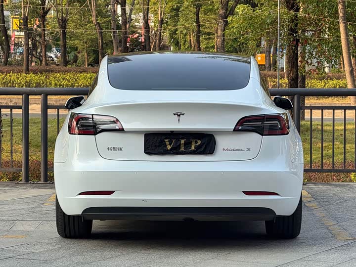 Фото 5 - Tesla Model 3