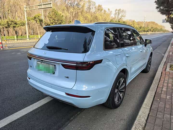 Фото 5 - LiXiang One