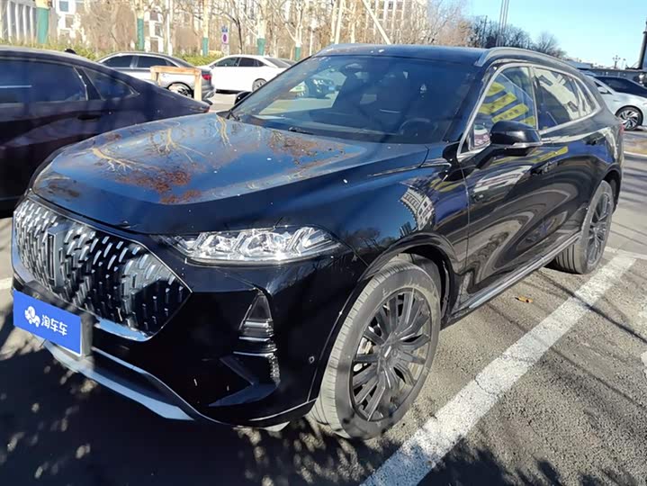 Фото 1 - Wey Mocca Hybrid