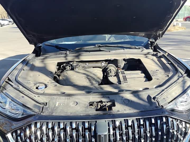 Фото 10 - Wey Mocca Hybrid