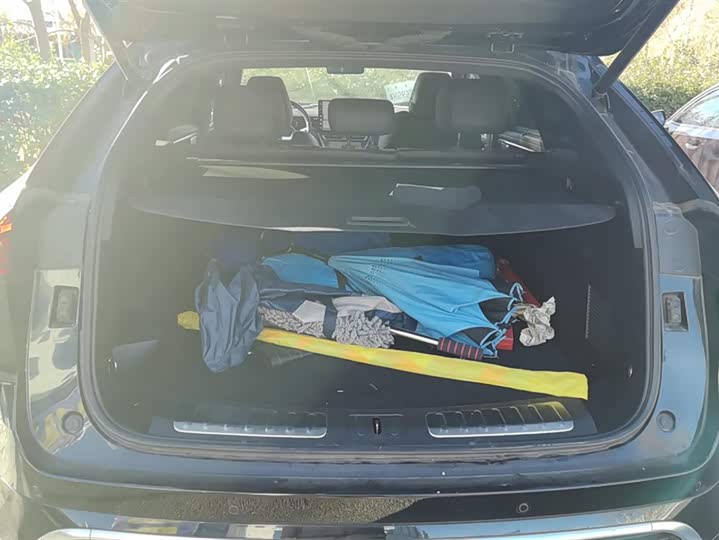 Фото 4 - Wey Mocca Hybrid