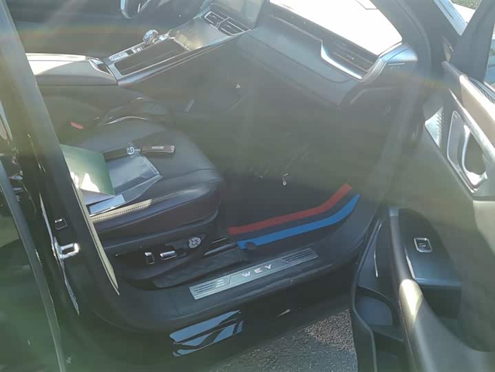 Фото 8 - Wey Mocca Hybrid