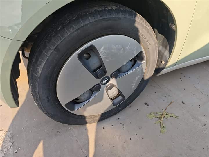 Фото 23 - Ora Black Cat