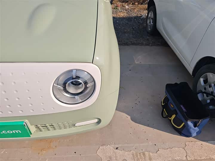 Фото 24 - Ora Black Cat