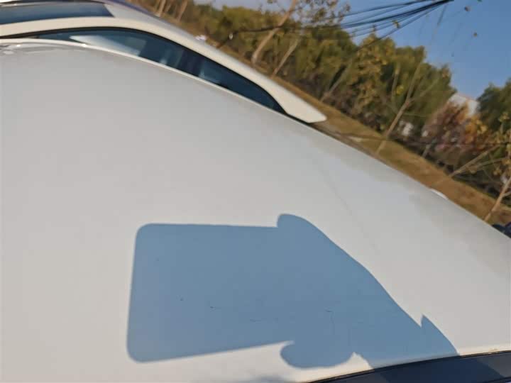 Фото 27 - Ora Black Cat