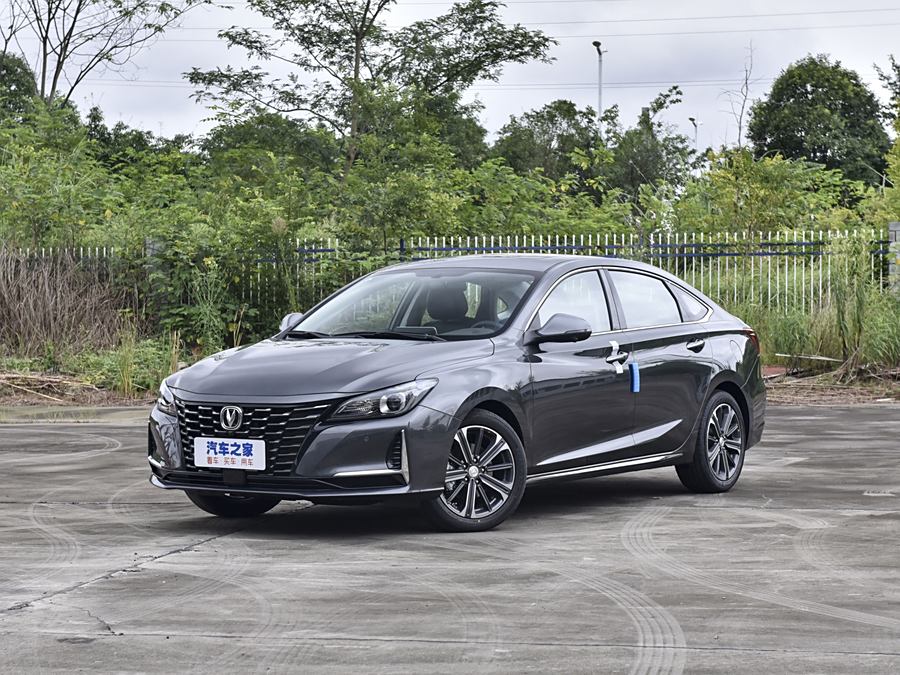 Фото 1 - Changan Raeton CC