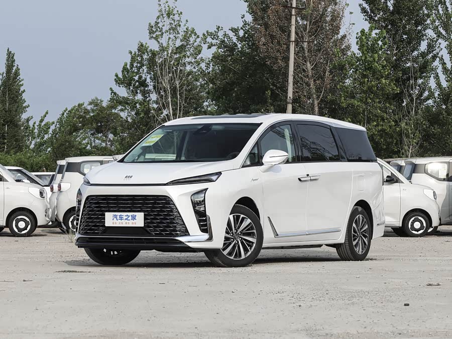 Фото 1 - Buick GL8 Hybrid