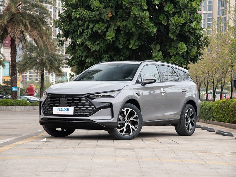 Фото 1 - BYD Tang Hybrid/EV