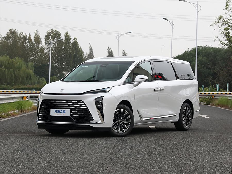 Фото 1 - Buick GL8 ES