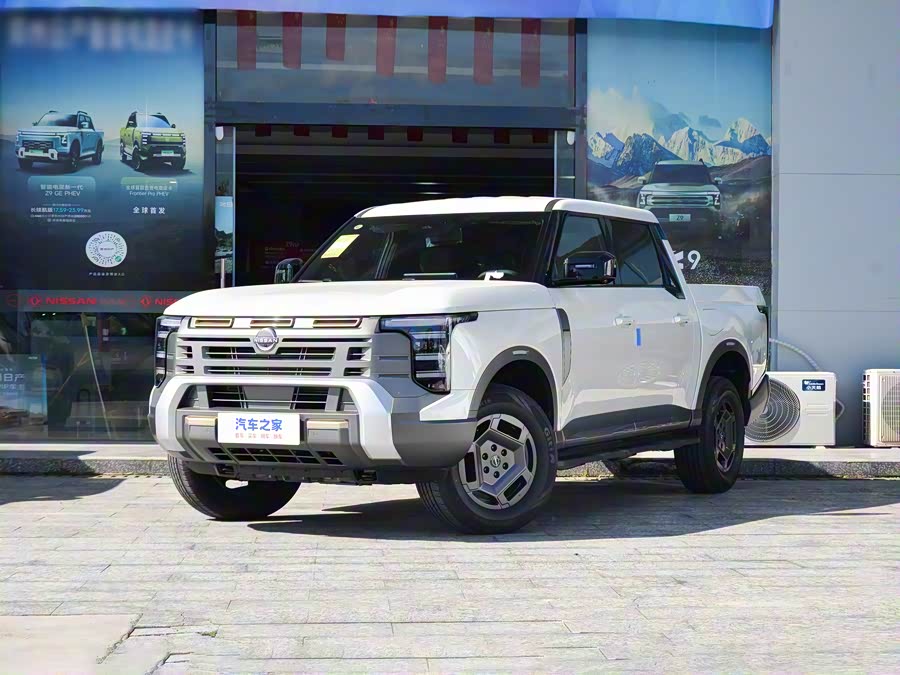 Фото 1 - Nissan Frontier Pro