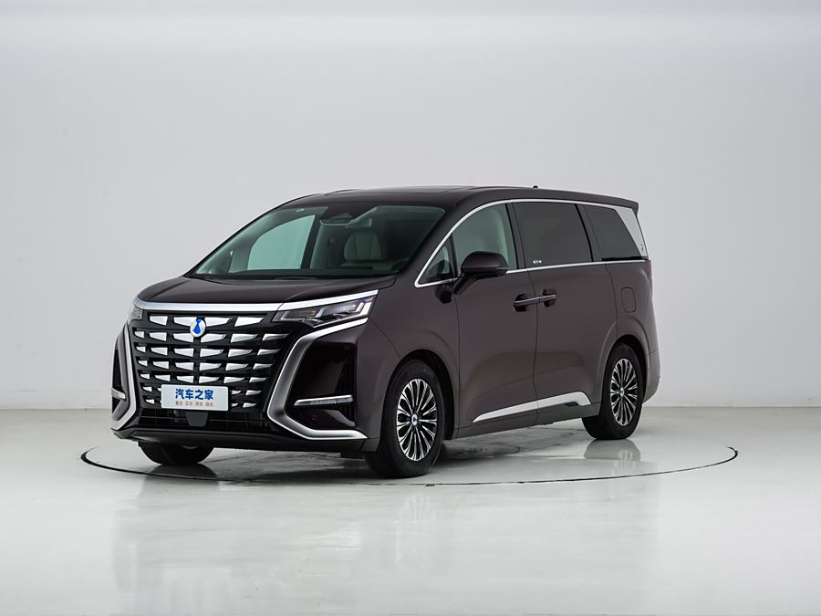 Фото 1 - Denza D9