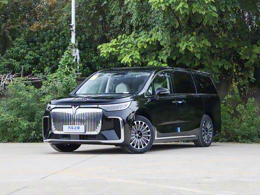 Фото 1 - Voyah Dream