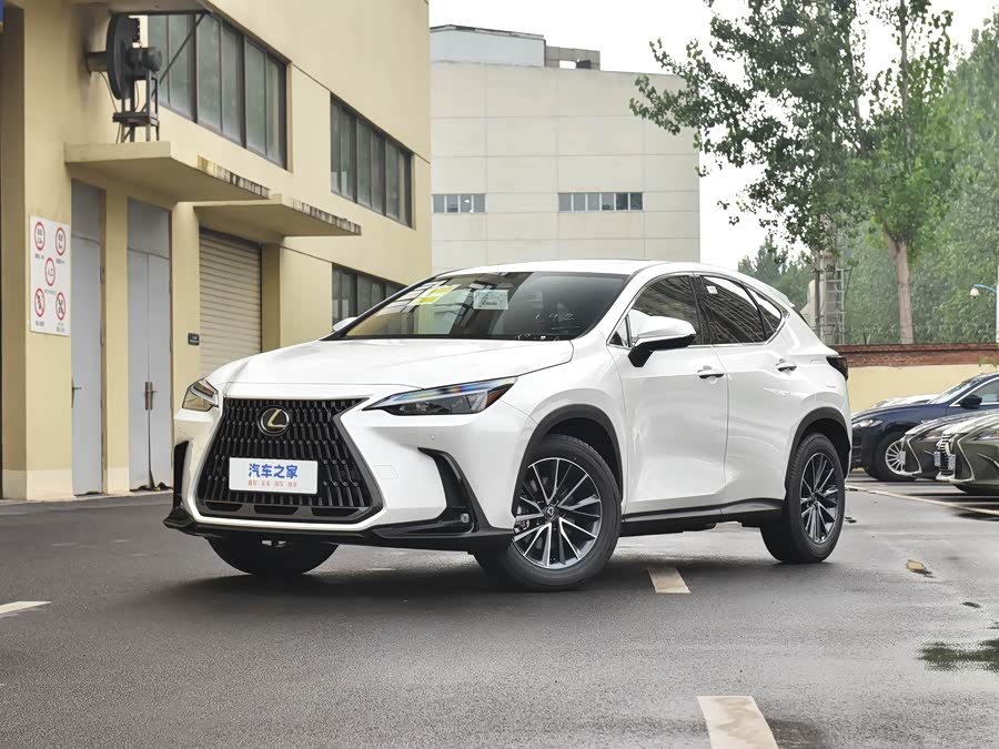 Фото 1 - Lexus NX Hybrid