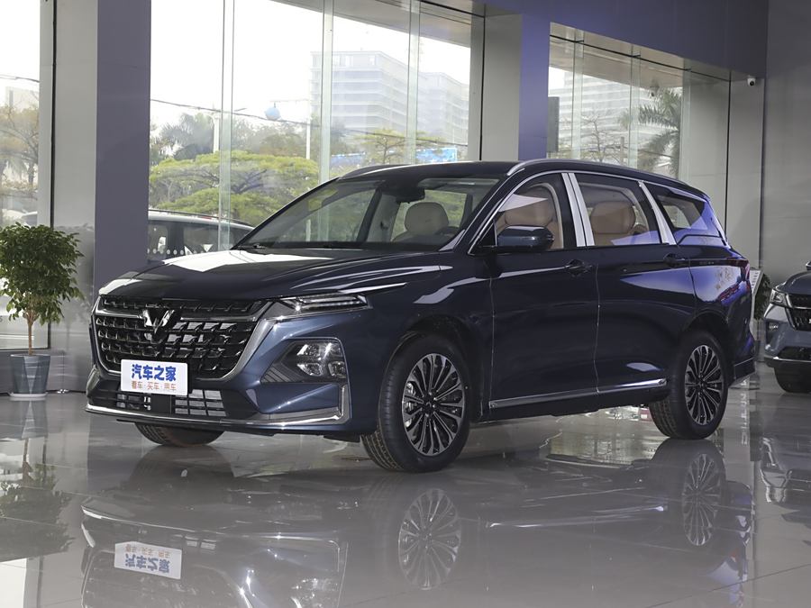 Wuling Victory 2023 2023款 2.0L DHT臻享型