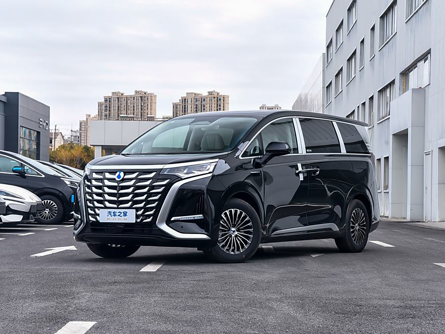 Фото 1 - Denza D9