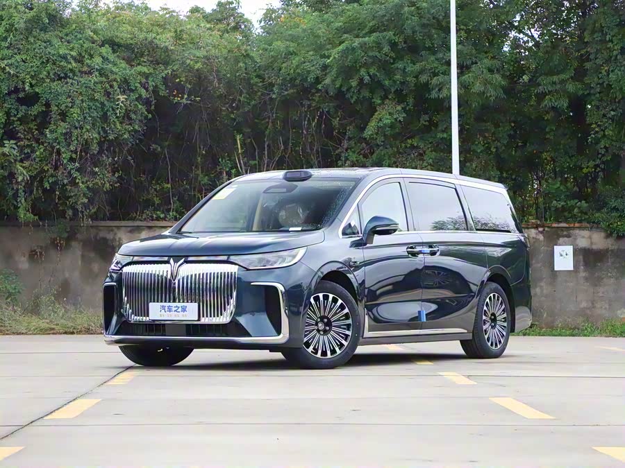 Фото 1 - Voyah Dream