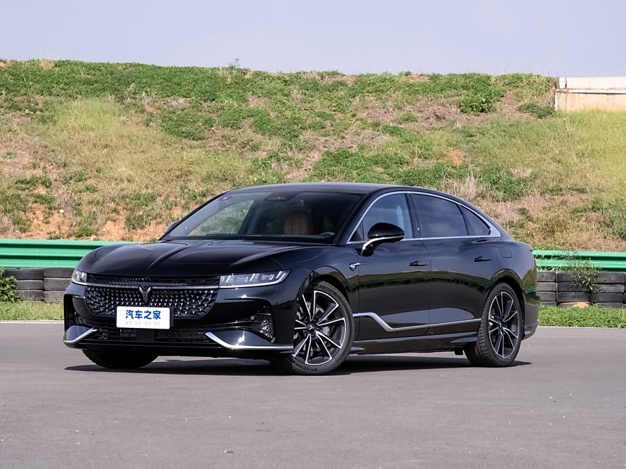 Фото 1 - Voyah Passion