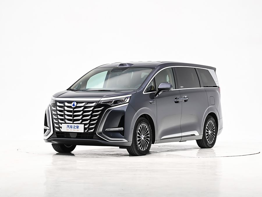 Фото 1 - Denza D9