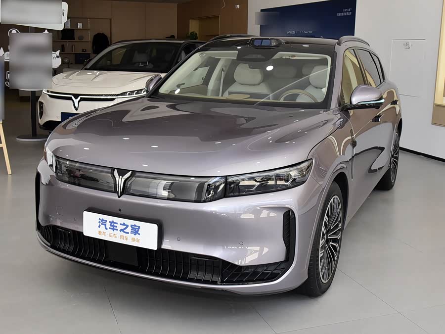 Фото 1 - Voyah Free