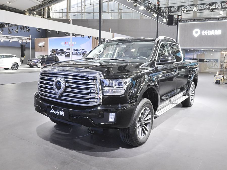 Фото 1 - Great Wall Shanhai Poer